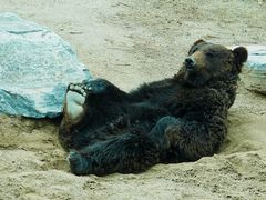 -北京野生动物园