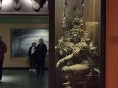 -美国自然历史博物馆