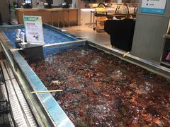 -盒马鲜生(莱蒙都会店)
