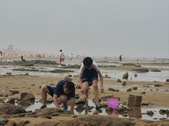 -日照海滨国家森林公园