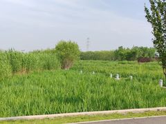 -永定河休闲森林公园