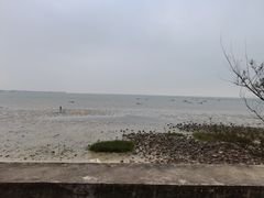 -北海金海湾红树林生态旅游区