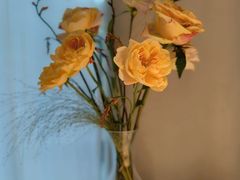 -Tomacado花厨(One ITC店)