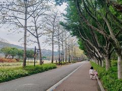 -顺峰山公园