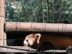 -杭州少年儿童公园