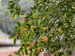 -宁波市保国寺古建筑博物馆