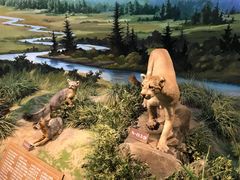 -陕西自然博物馆