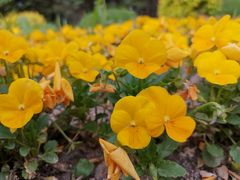 -长春公园(普阳街道)