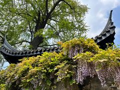 -惠山古镇·寄畅园