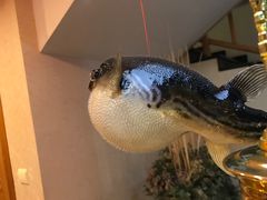 -天正河鲀·河豚亭(大连店)