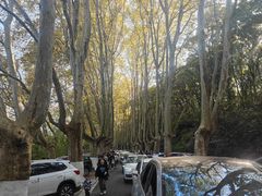 -灵谷景区