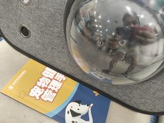 -伟伟宠物医院·CT影像中心·瑞派犬猫综合性门诊(汉口总院)