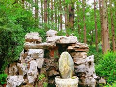 -上海醉白池公园