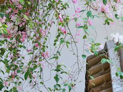 -深圳国际园林花卉博览园