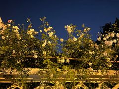 -青岛第三海水浴场