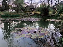 -杭州植物园