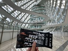 -凤凰中心