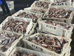 -中国舟山国际水产城