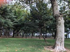 -日照世帆赛基地