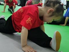 -武术世家少儿培训中心(首都体育学院店)