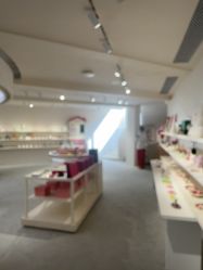 -SALON DE VANHADA