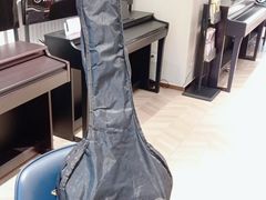 -雅歌音乐培训中心·钢琴培训·乐器培训(交道口店)