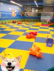 -欢乐陶陶儿童主题乐园(龙岗店)