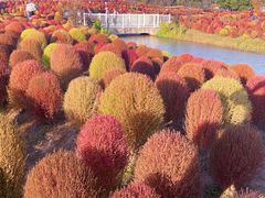 -花开海上生态园