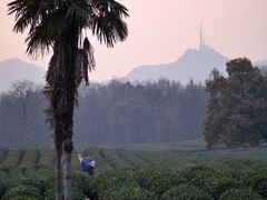 -茅家埠