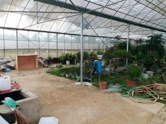 -呼吸森林·生态农庄农家乐私房菜