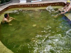 -南宫温泉水世界