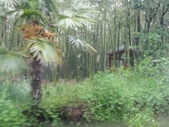android_upload_pic-同里国家湿地公园