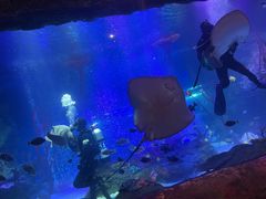 -沈阳海洋探索中心