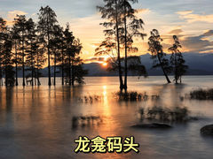 -兴盛大桥