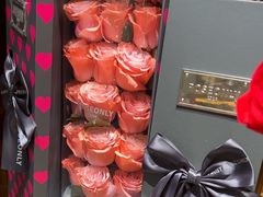 -ROSEONLY诺誓(磐基中心店)