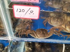 -阳澄湖大闸蟹·琼灵阁牌品牌连锁(吴中总店)