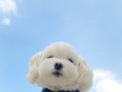 -陆记牛庄·碳锅龙虾烧烤(爱上花园店)