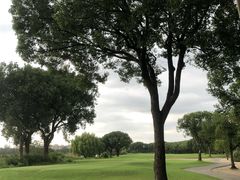 -旭宝高尔夫俱乐部