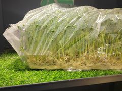 -万达广场(南京江宁店)