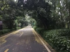 -南京东郊国宾馆