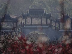 -上海海湾国家森林公园