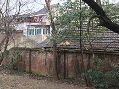 -太子山公园(园东路)