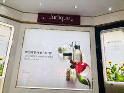 点击看大图 -茱莉蔻