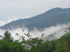 -大围山国家森林公园