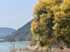 -广州市流溪河国家森林公园
