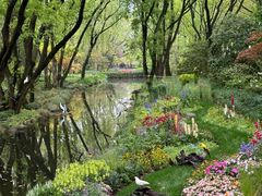 -上海共青森林公园