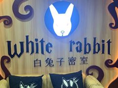 -白兔子密室(长寿路店)