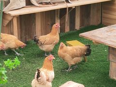 -HERRE·FARM 赫尔露营农场·团建聚会包场