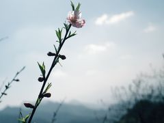 -江郎山风景名胜区