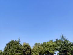 -重庆彩云湖湿地公园
